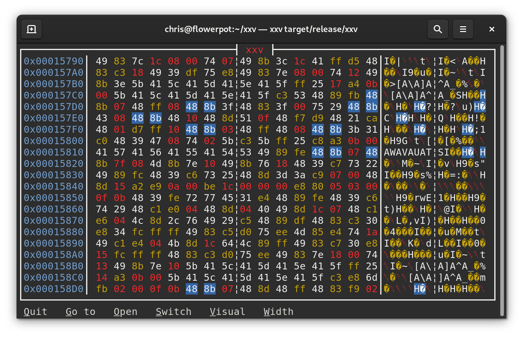 Screenshot showing the XXV hex viewer in a terminal